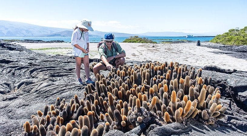 Una guía para visitar las Islas Galápagos: cuándo ir y cómo planificar su viaje